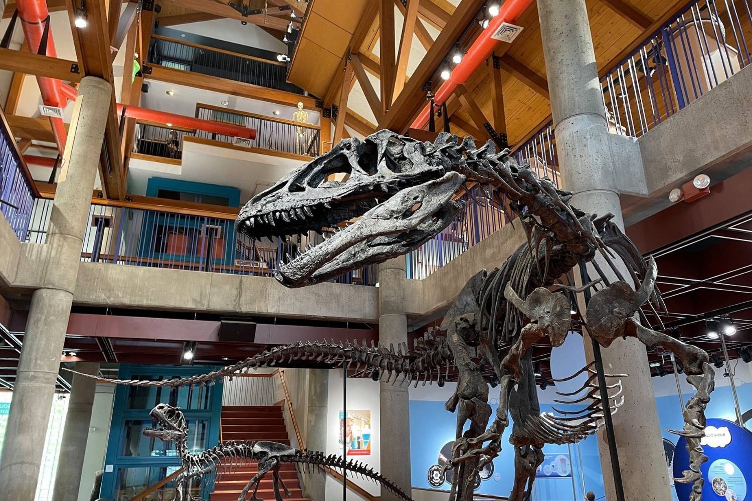 unleash-wonder-at-norwichs-montshire-museum-of-science