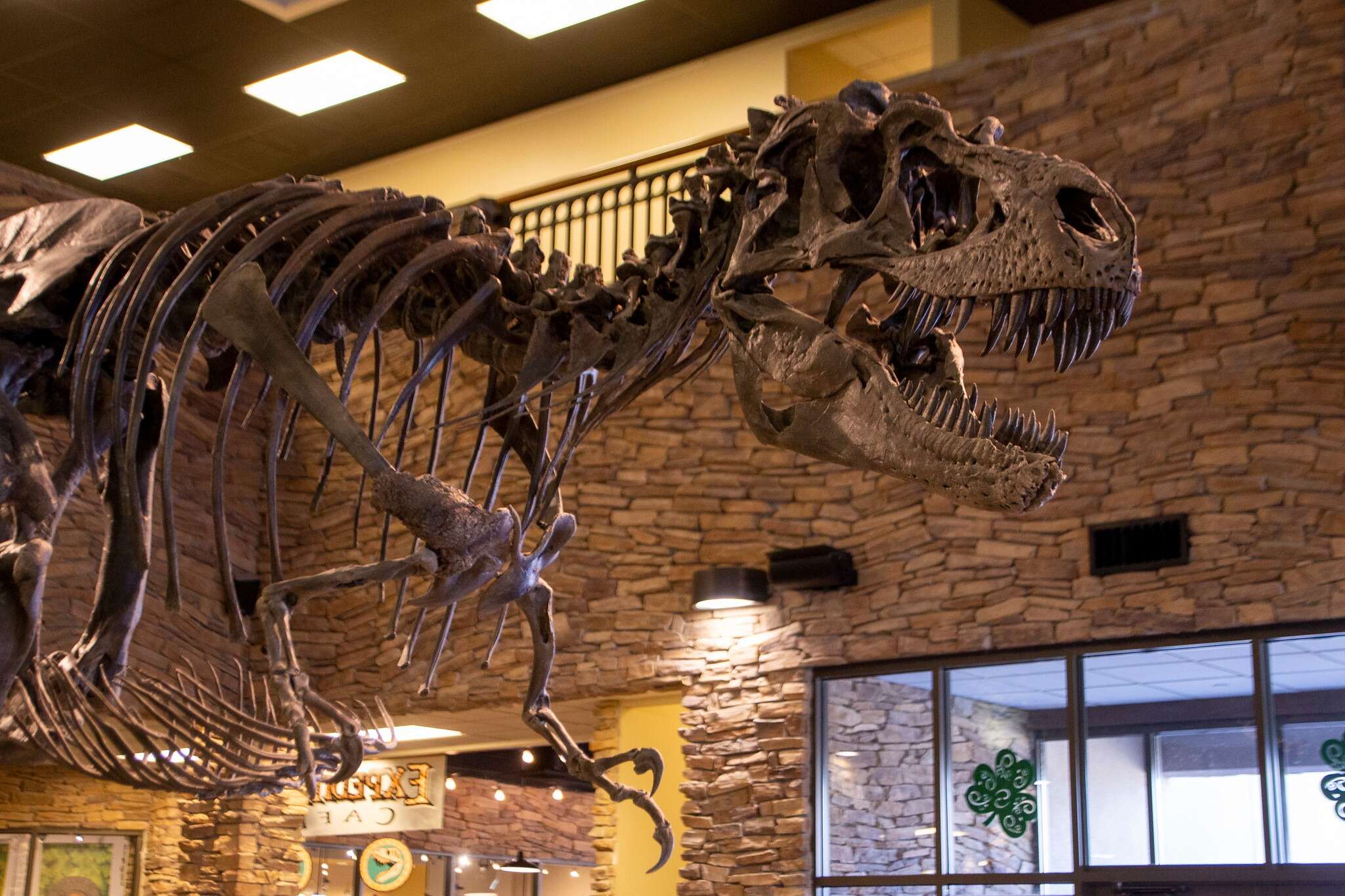 unleash-wonder-at-thanksgiving-points-gardens-and-dinosaurs