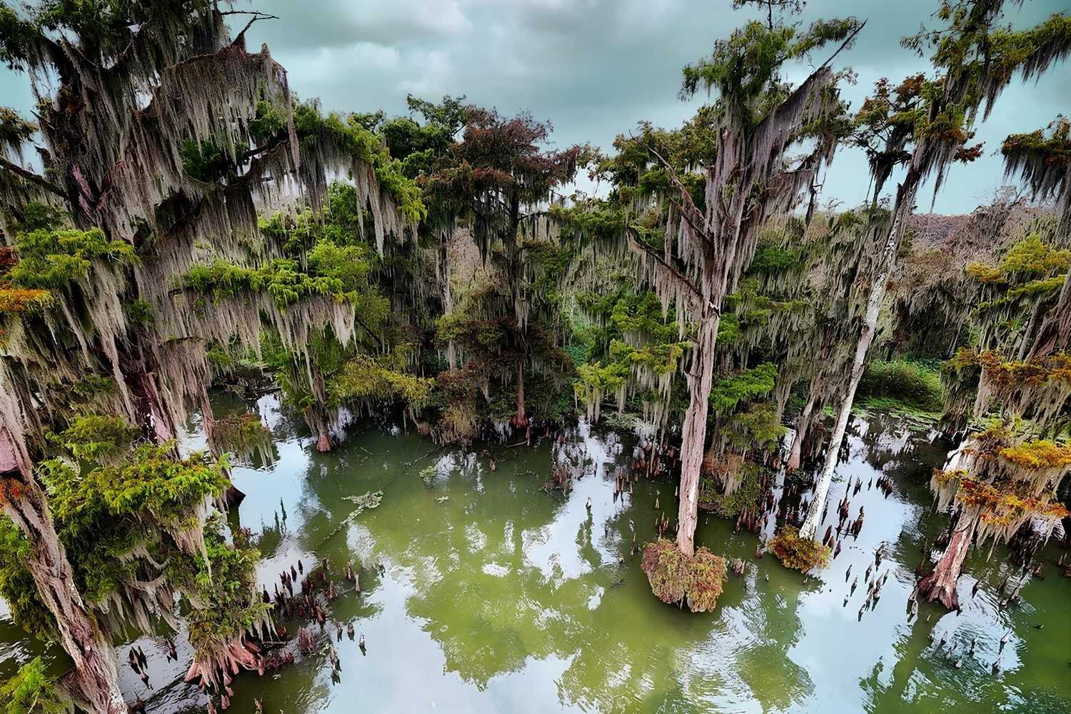 Unseen-Waterways-In-Louisiana’s-Swamp-Lands unseen-waterways-in-louisianas-swamp-lands