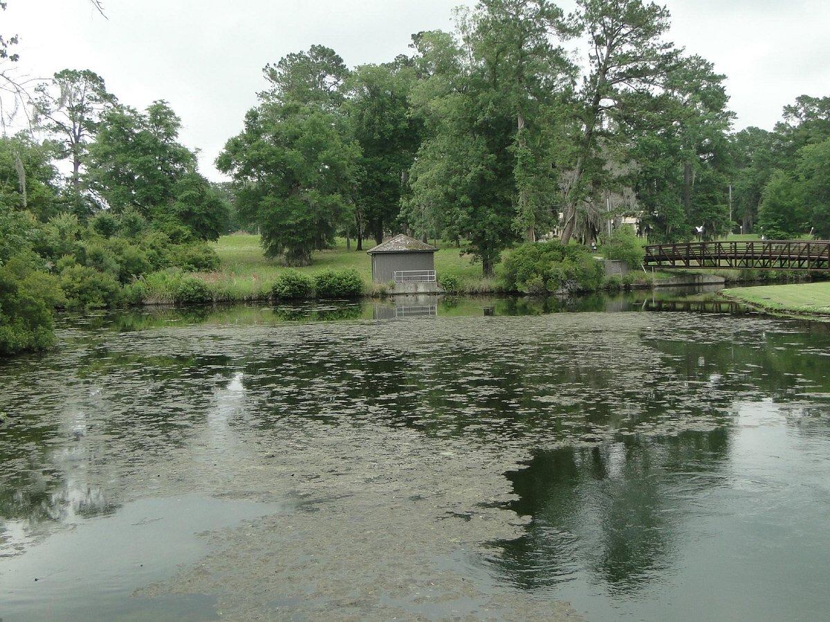 unveil-the-magic-of-magnolia-springs-state-park