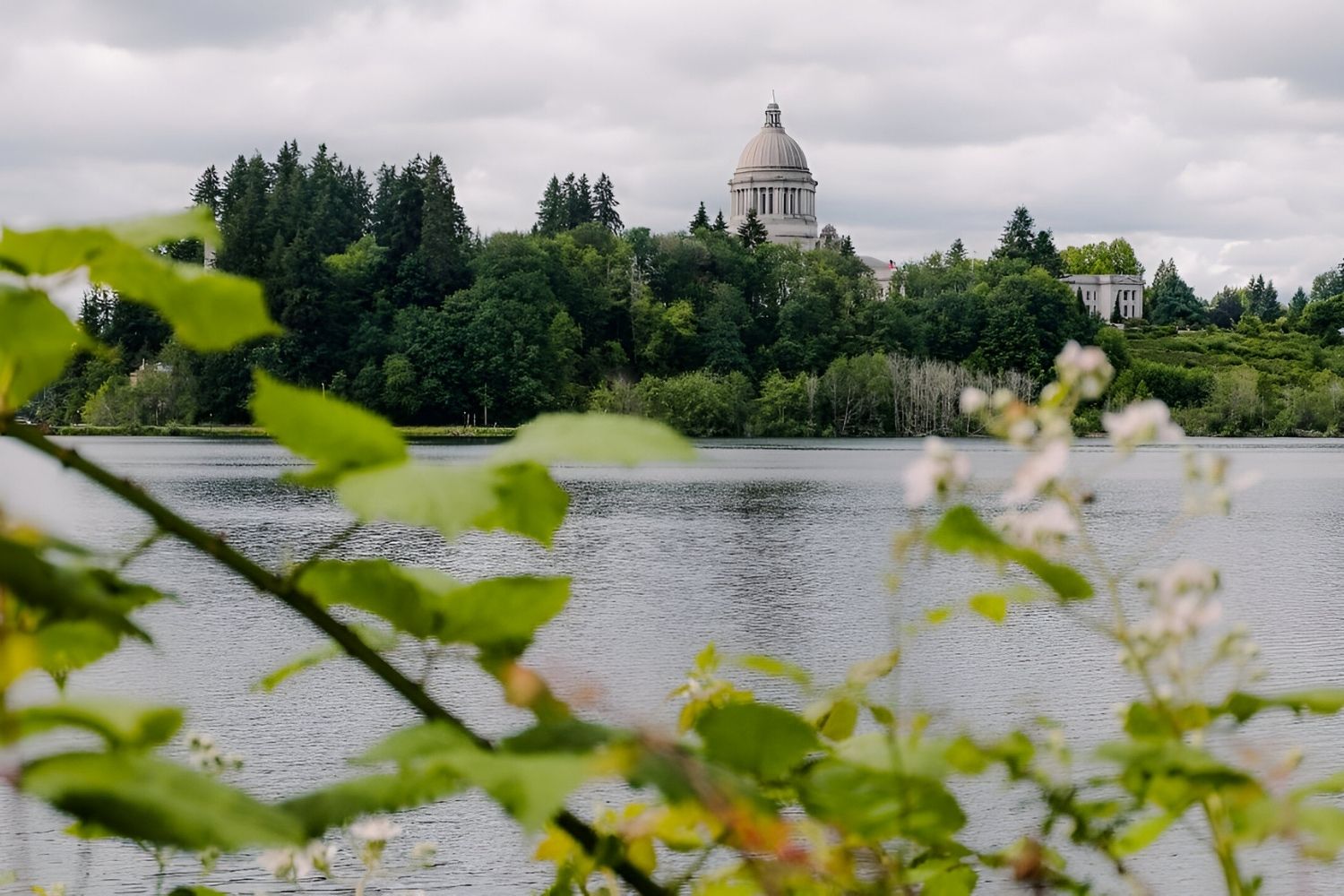 unveil-the-magic-of-olympias-capitol-lake