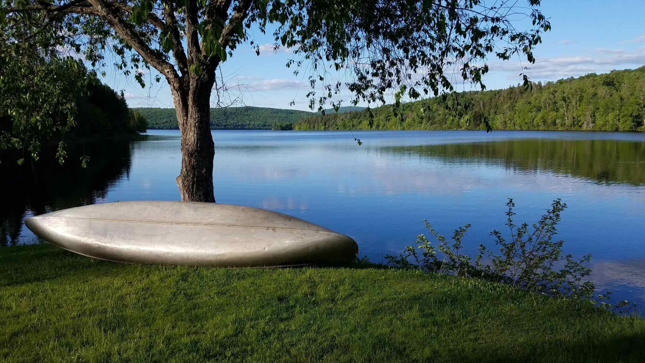 unveil-the-magic-of-pittsburgs-lake-francis-state-park