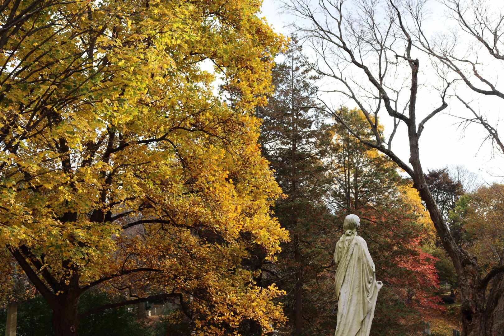 Unveil-The-Mystique-Of-Mount-Auburn-Cemetery unveil-the-mystique-of-mount-auburn-cemetery