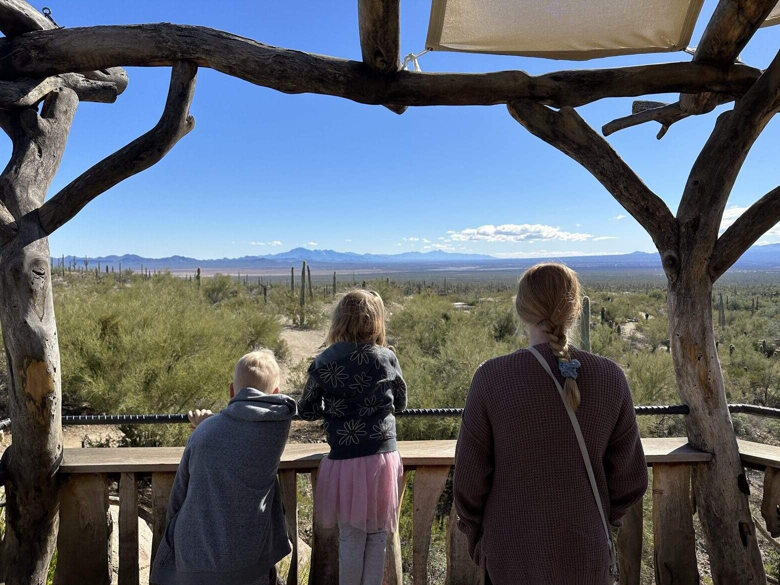 Unveil-The-Wonders-Of-Arizona-Sonora-Desert-Museum unveil-the-wonders-of-arizona-sonora-desert-museum