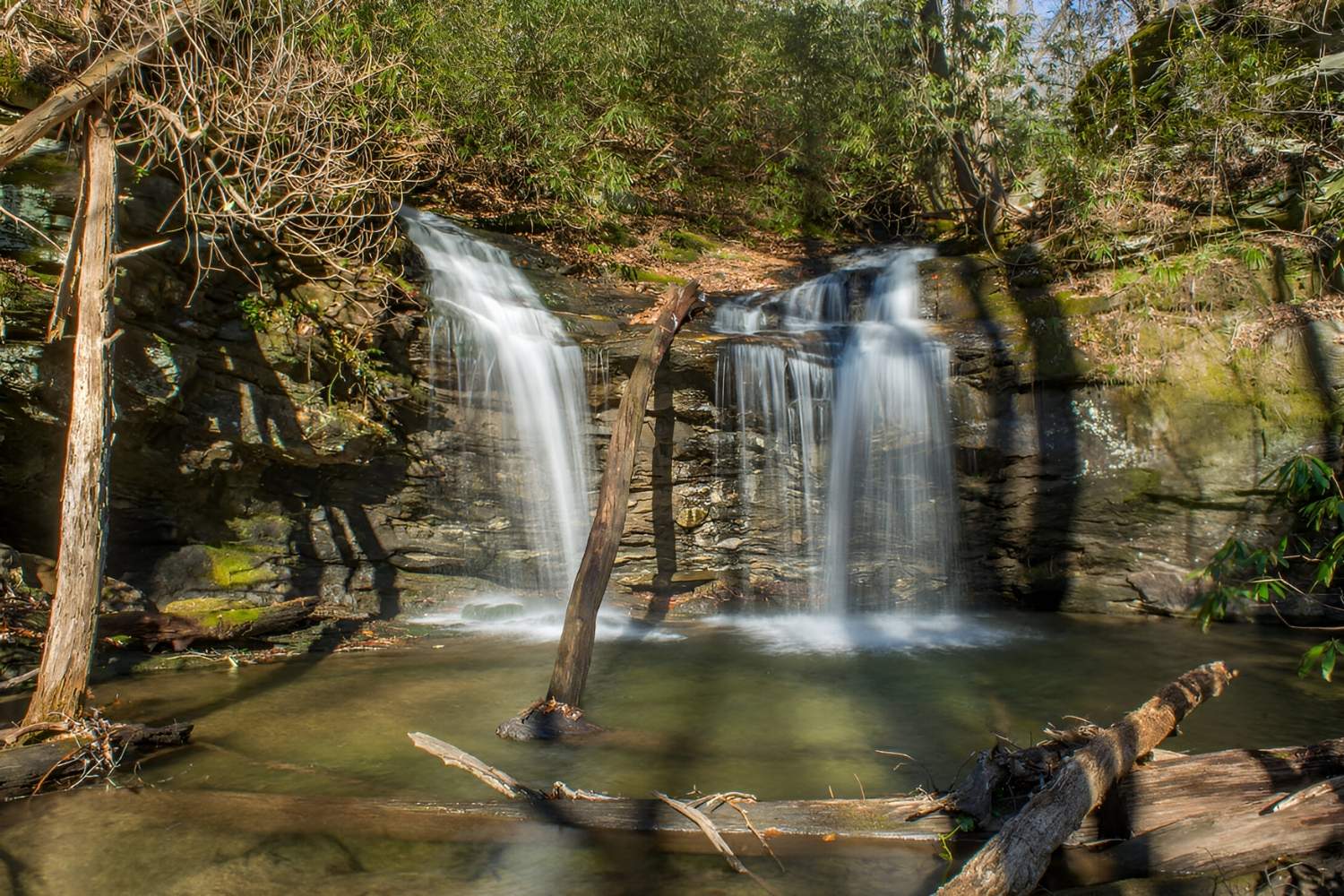 unveil-the-wonders-of-caesars-heads-naturaland-trust