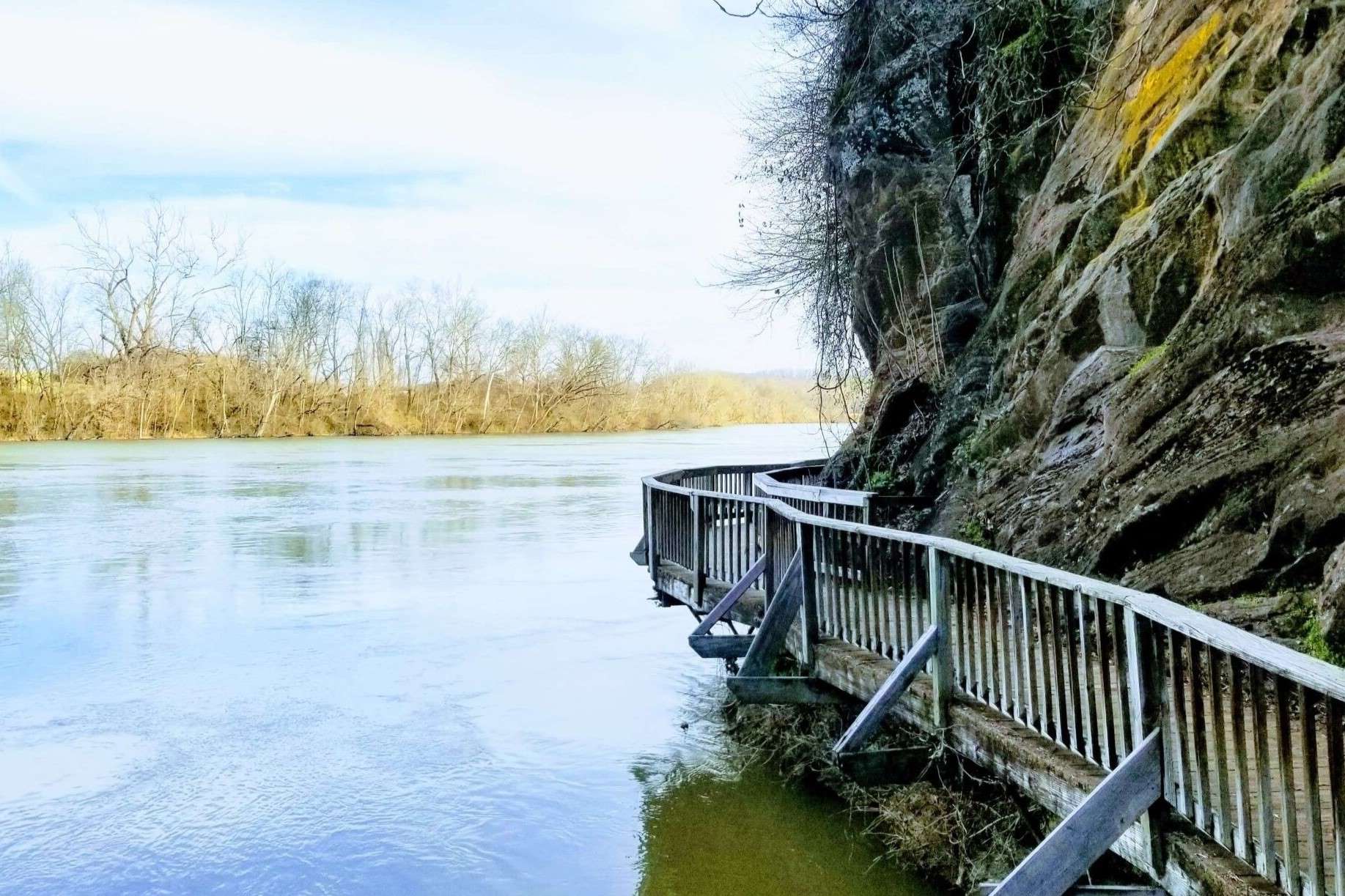unveil-the-wonders-of-knoxvilles-ijams-nature-center