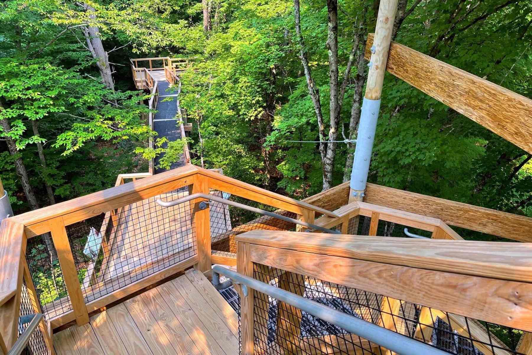 unveil-the-wonders-of-quechees-natural-science-institute