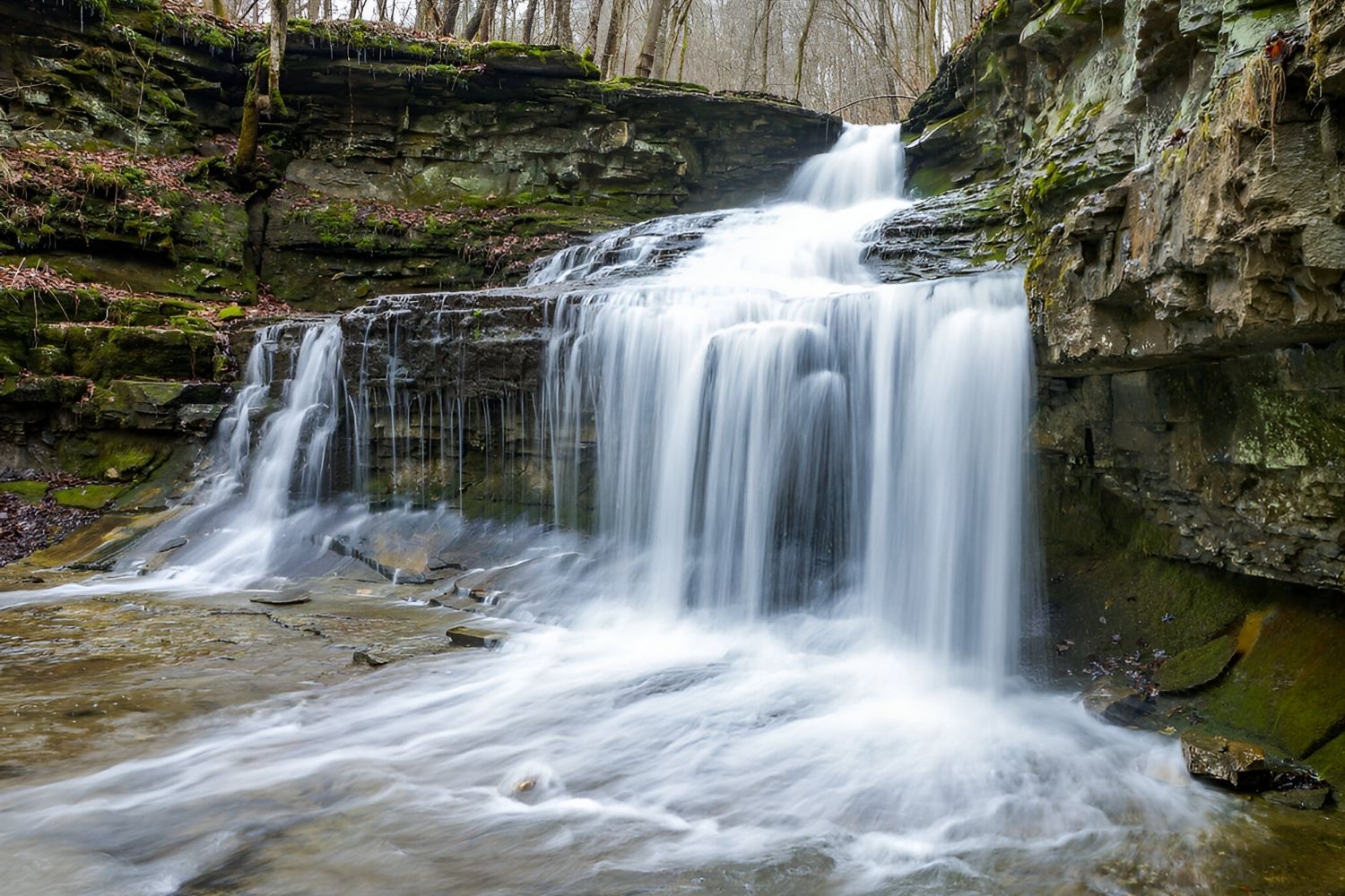 Unveil-The-Wonders-Of-Raven-Run-Nature-Sanctuary unveil-the-wonders-of-raven-run-nature-sanctuary