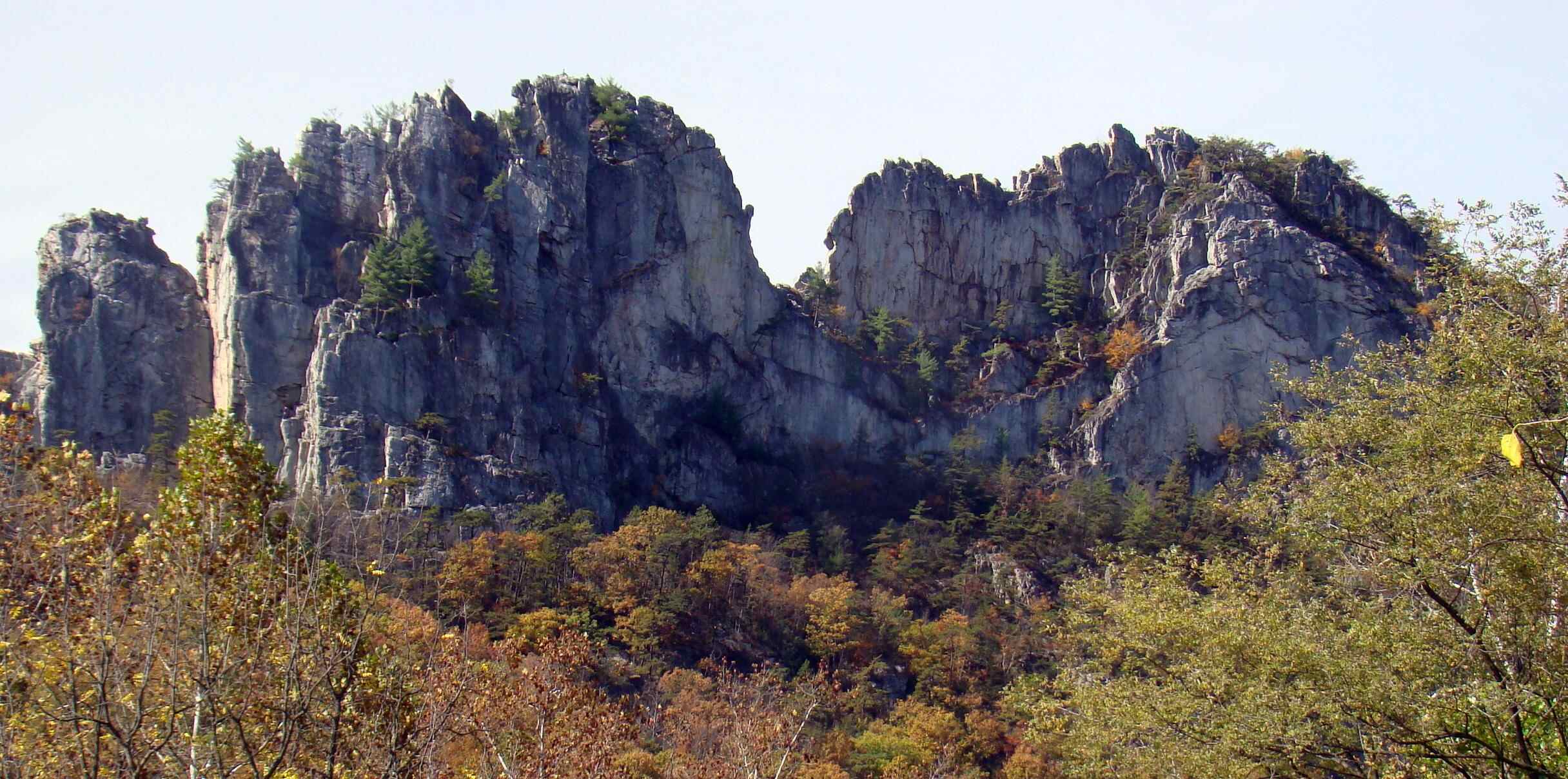 unveil-the-wonders-of-seneca-rocks-discovery-center