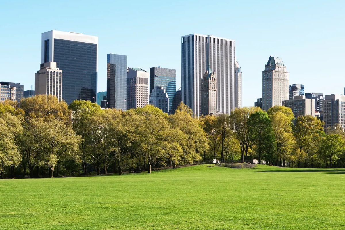 Unveiling-The-Hidden-Story-Of-New-York8217s-Central-Park-TouristSecrets unveiling-the-hidden-story-of-new-yorks-central-park-touristsecrets