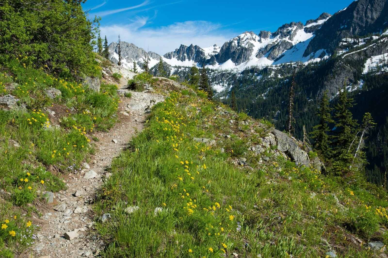 valley-paths-in-twisp-washington