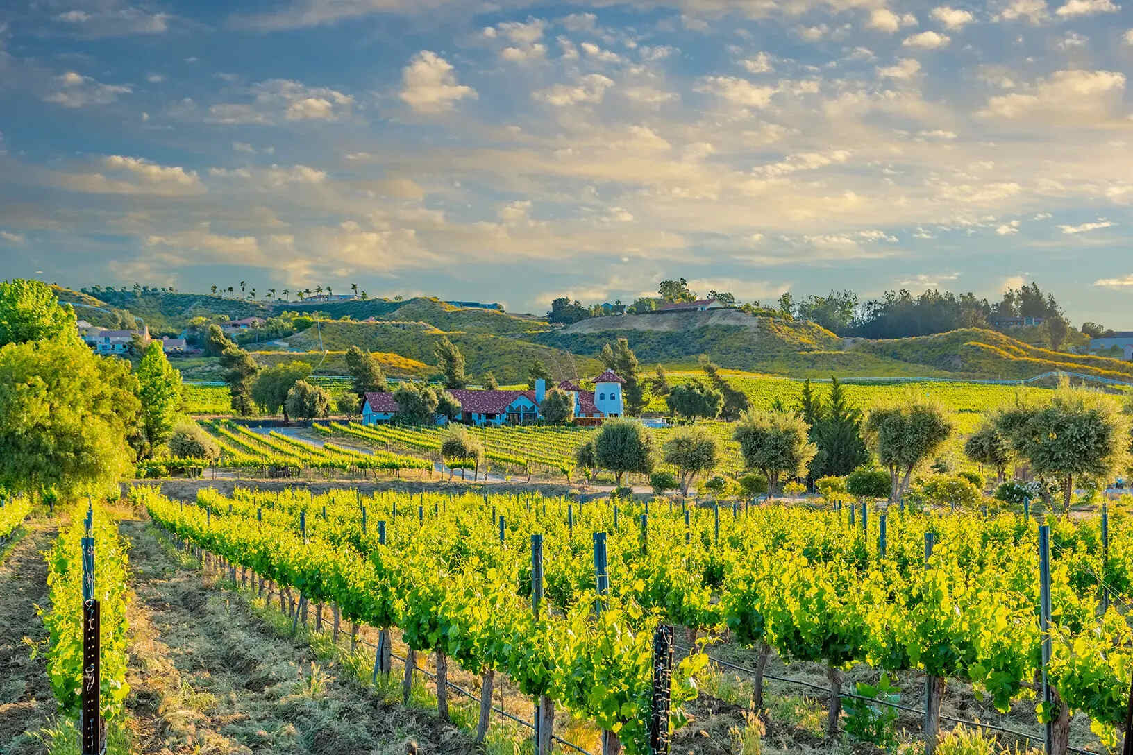 Valley-Tales-Hidden-In-Temecula-California valley-tales-hidden-in-temecula-california