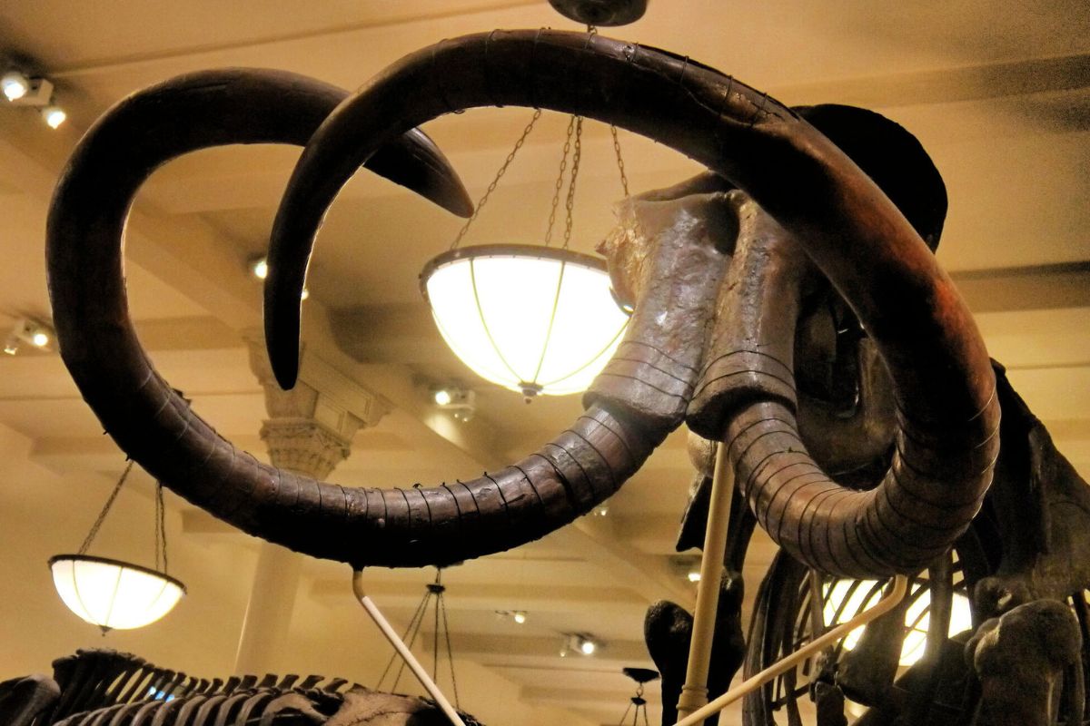 vermont-marble-museums-geological-secrets