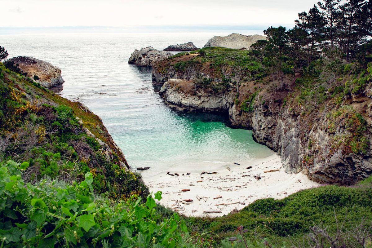 wander-the-stunning-trails-of-point-lobos-reserve
