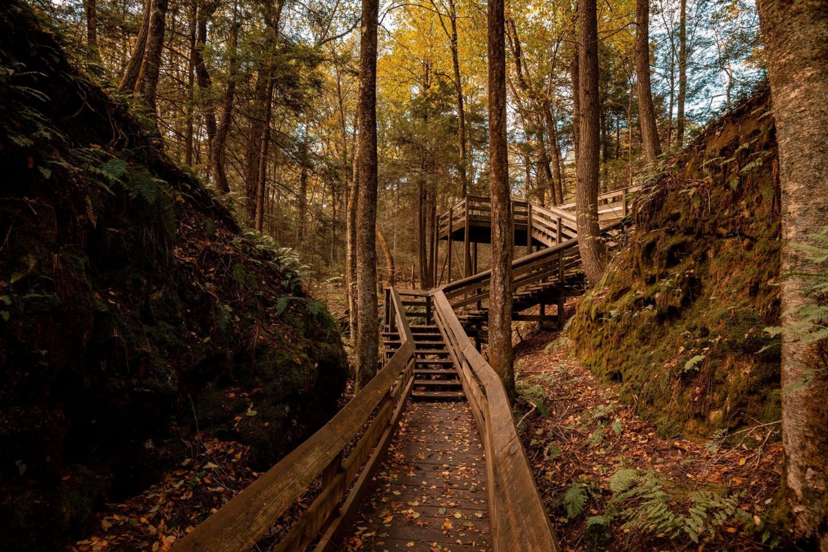 West-Virginia8217s-Secret-Beartown-Park-With-Massive-Boulders west-virginias-secret-beartown-park-with-massive-boulders