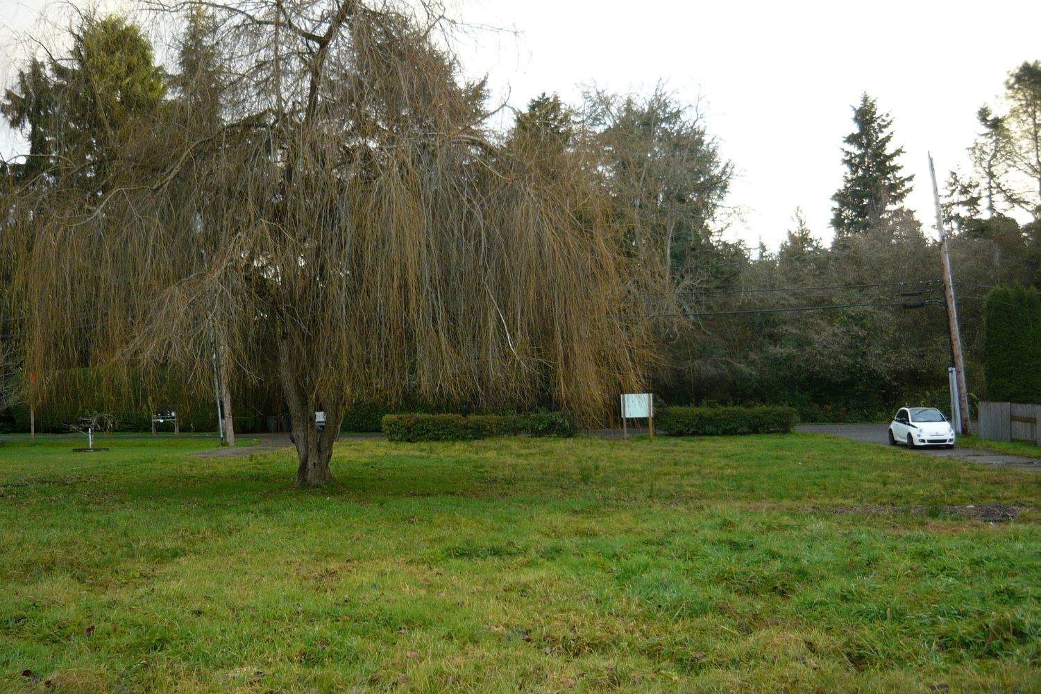 Whispering-Willow-Wisps-By-The-Weeping-Waters whispering-willow-wisps-by-the-weeping-waters