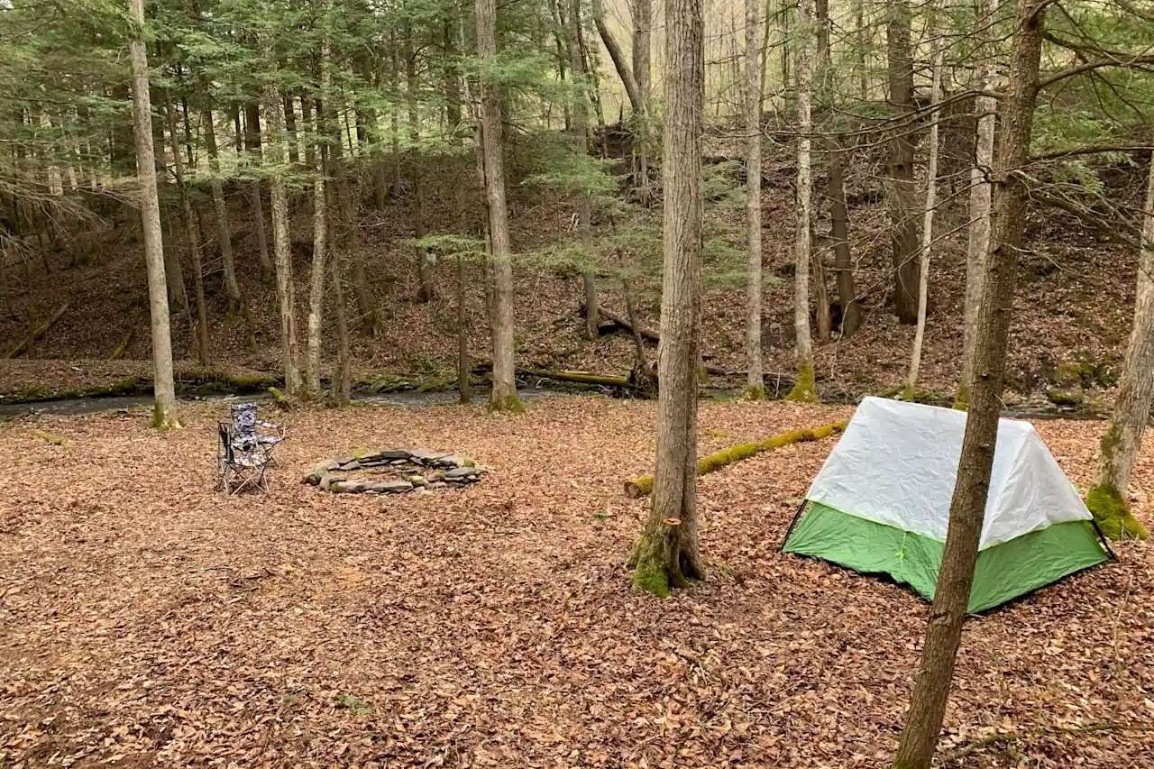 Whispers-In-The-Willows-Hidden-Hemlock-Groves-Of-The-Catskills whispers-in-the-willows-hidden-hemlock-groves-of-the-catskills
