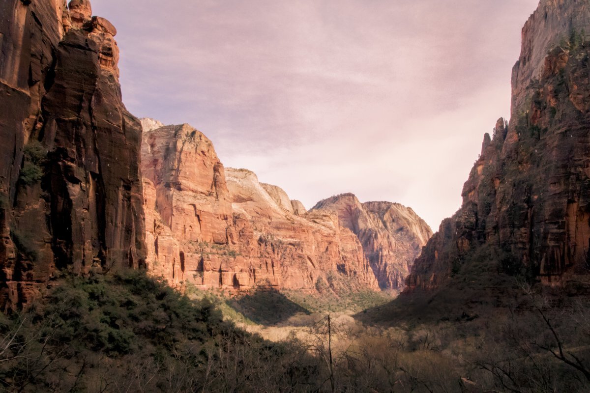 Whispers-In-The-Willows-Hidden-Weeping-Rocks-Of-Utah8217s-Zion whispers-in-the-willows-hidden-weeping-rocks-of-utahs-zion