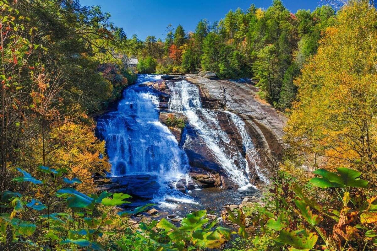 whispers-of-the-forest-in-brevard-north-carolina
