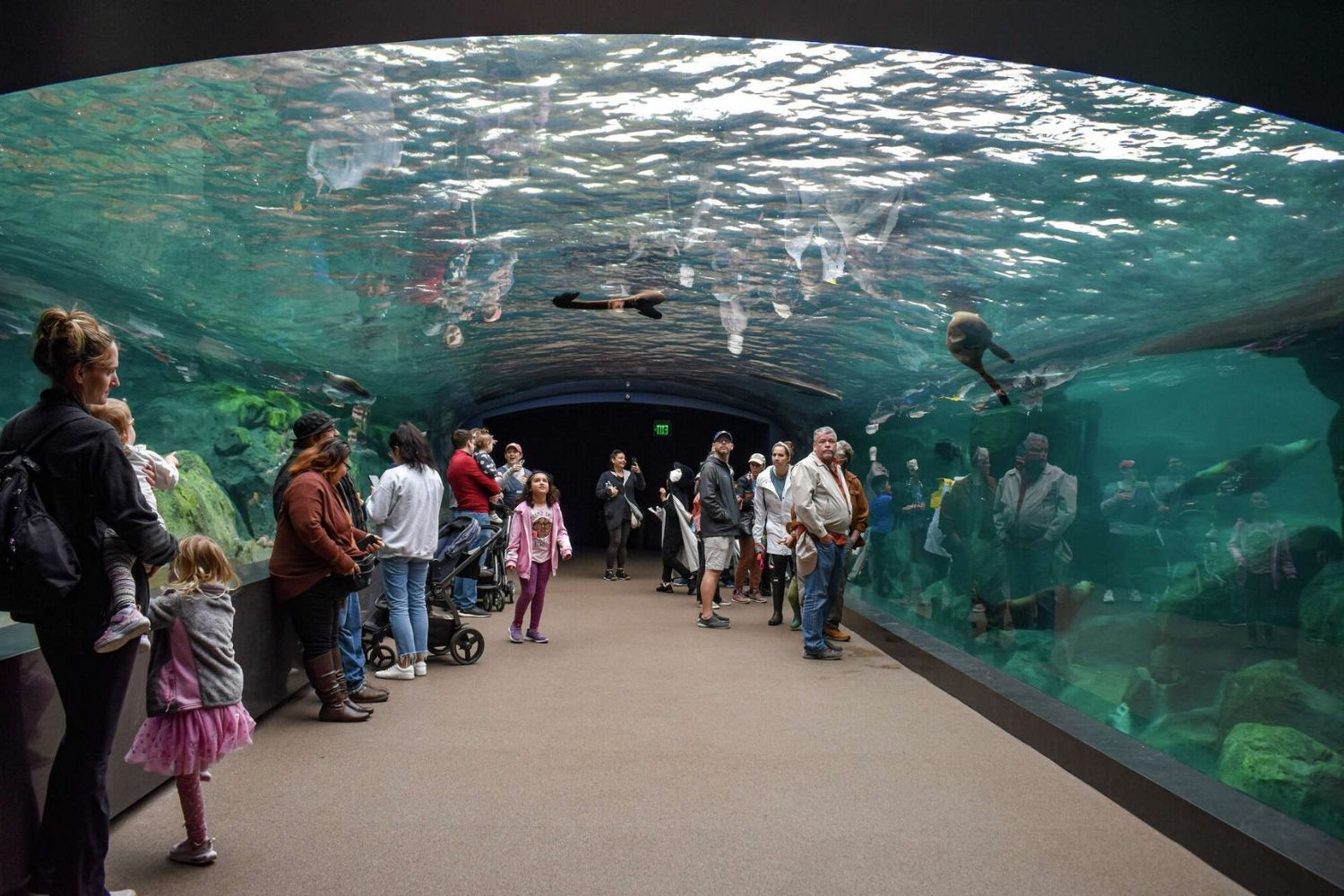 Wild-Adventures-Await-At-Houston-Zoo wild-adventures-await-at-houston-zoo