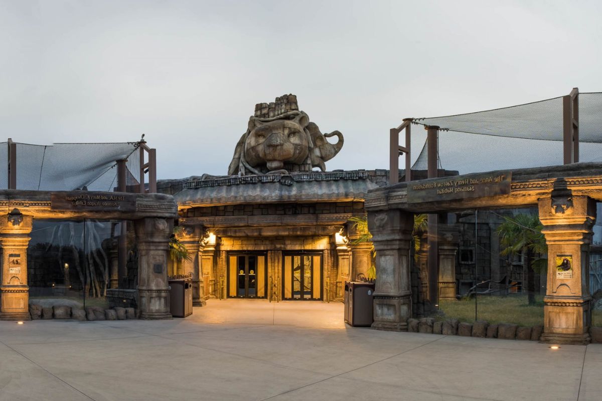 wild-adventures-await-at-tulsa-zoos-lost-kingdom