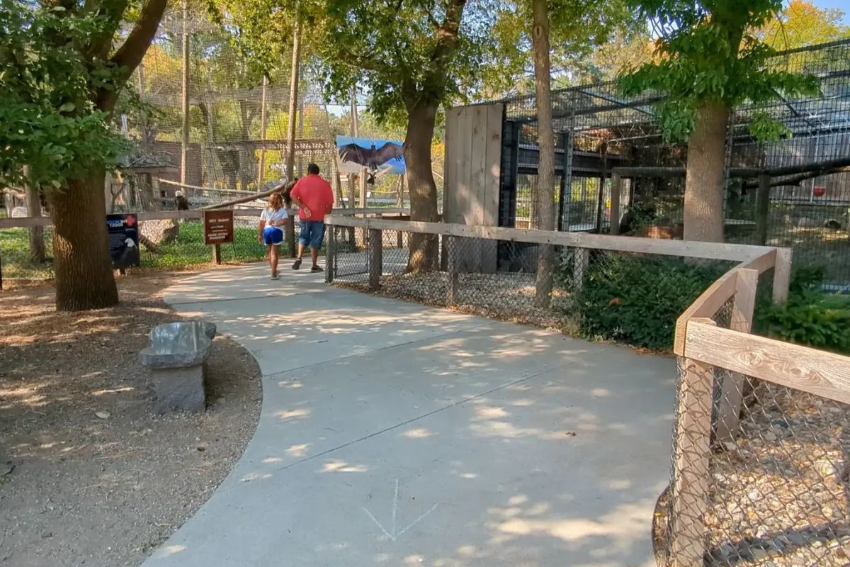 wild-encounters-at-bramble-park-zoo