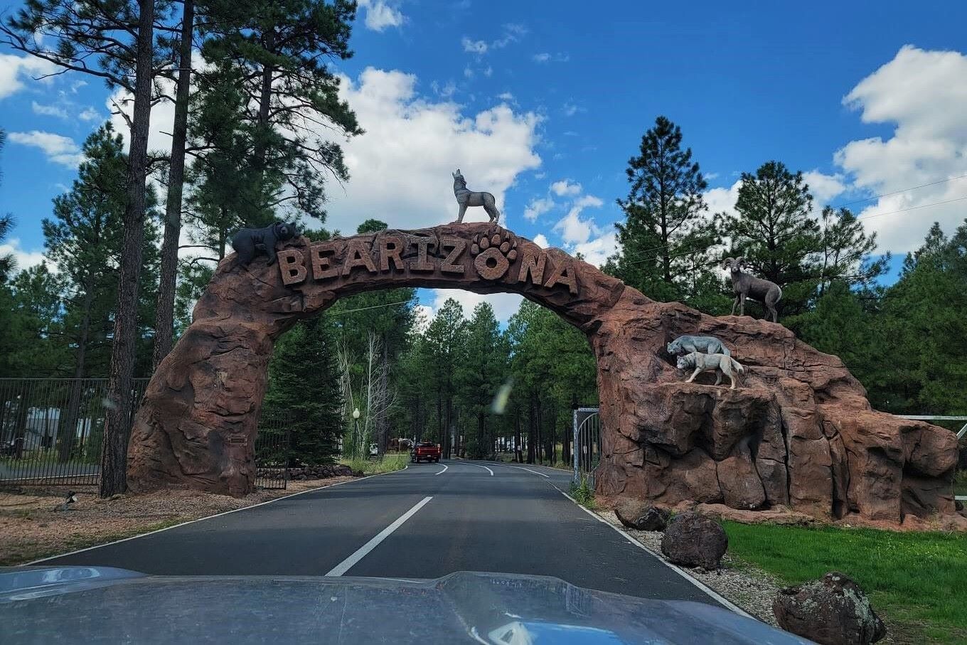 wild-encounters-await-at-bearizonas-drive-through-safari