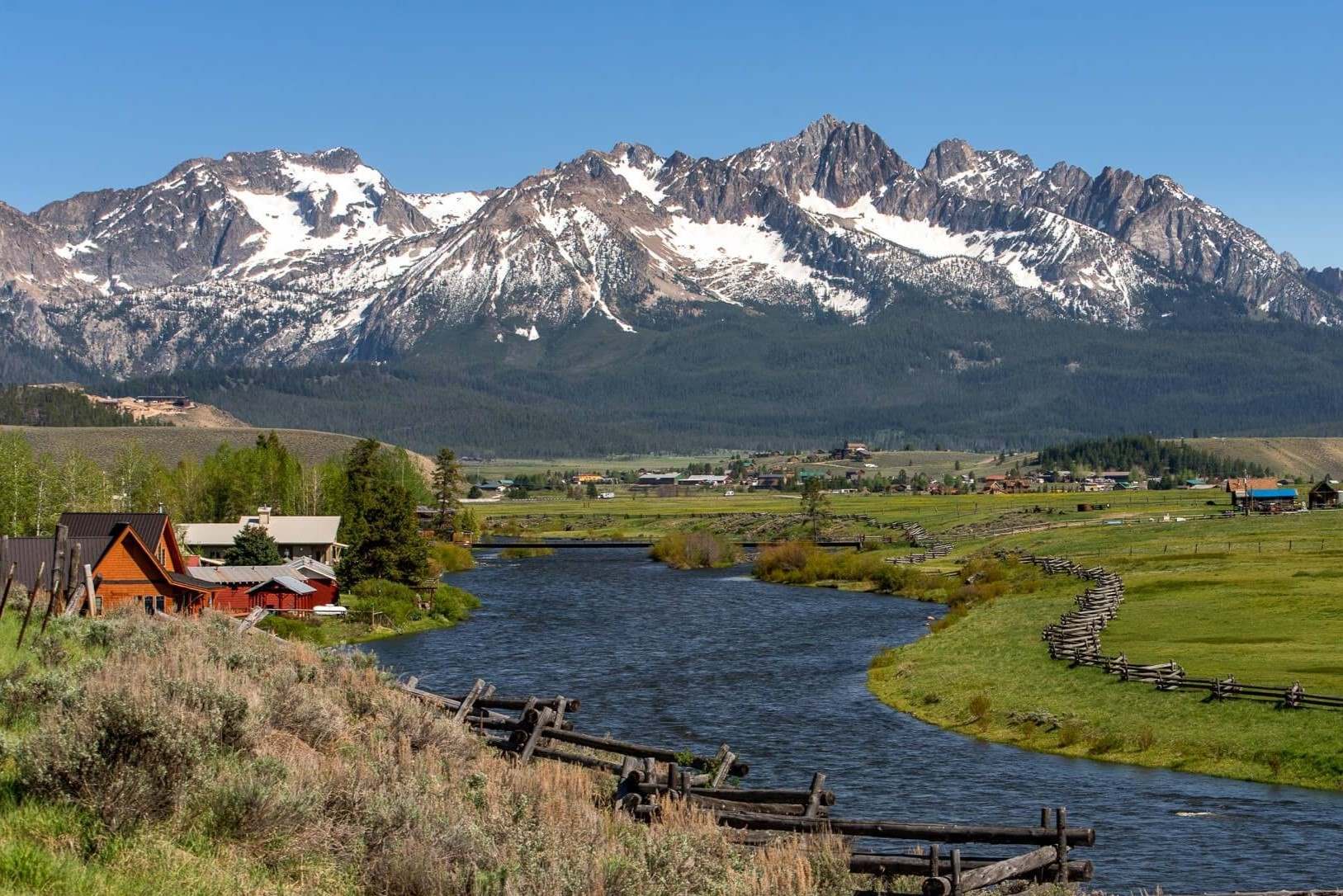 Wild-Huckleberry-Patches-In-Idaho8217s-Sawtooth-National-Forest-A-Forgotten-Flavor-Trail wild-huckleberry-patches-in-idahos-sawtooth-national-forest-a-forgotten-flavor-trail
