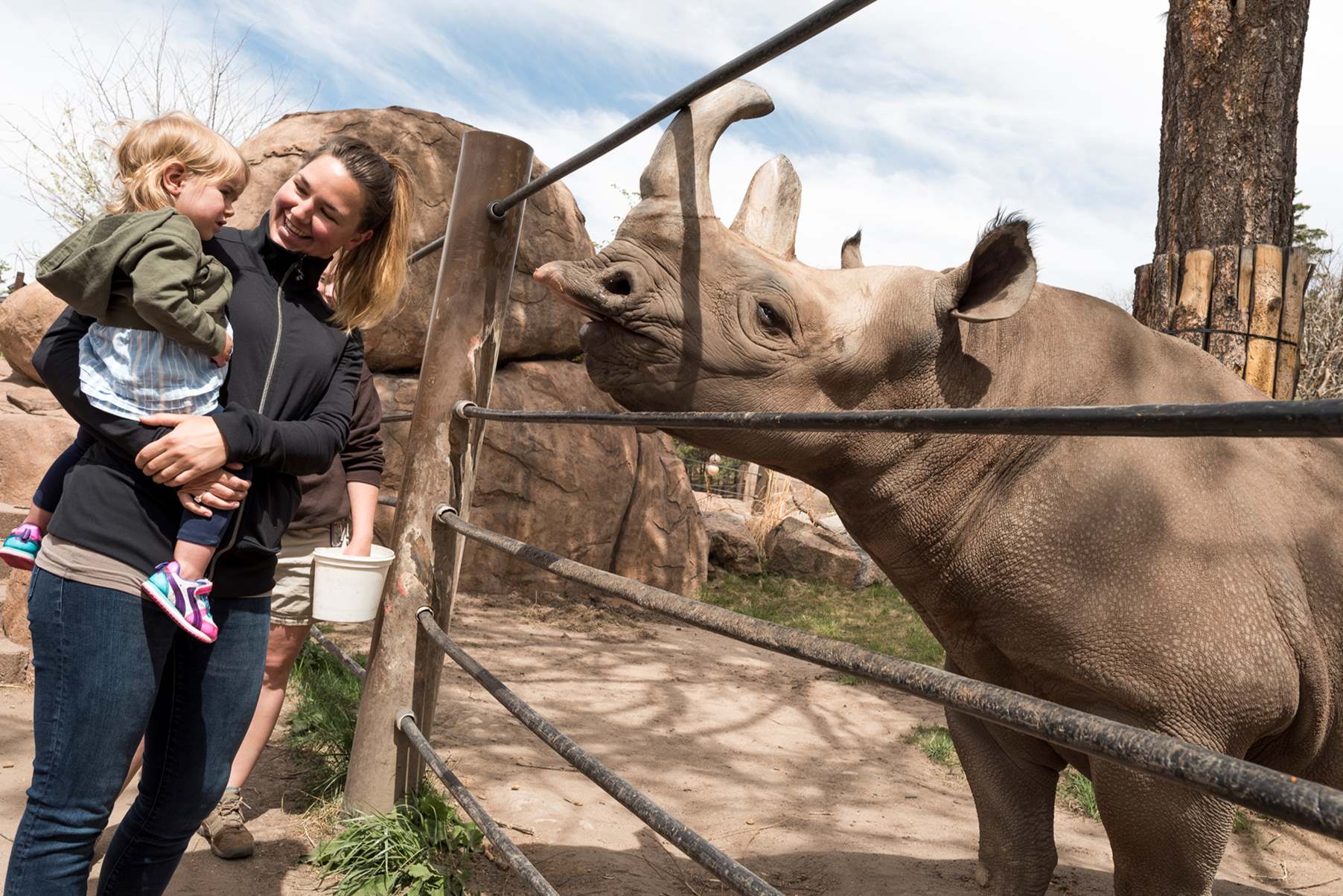 wild-wonders-at-cheyenne-mountain-zoo