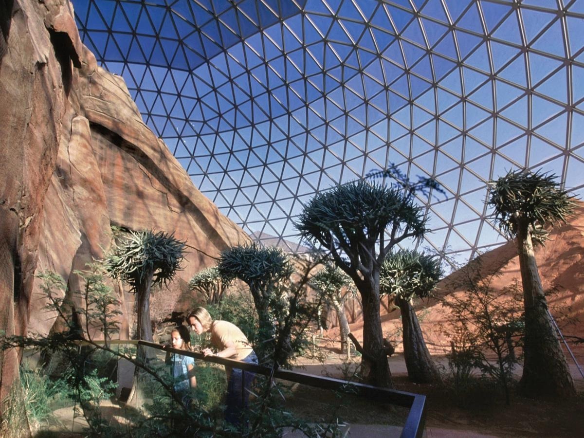 Wild-Wonders-Await-At-Omaha8217s-Henry-Doorly-Zoo wild-wonders-await-at-omahas-henry-doorly-zoo
