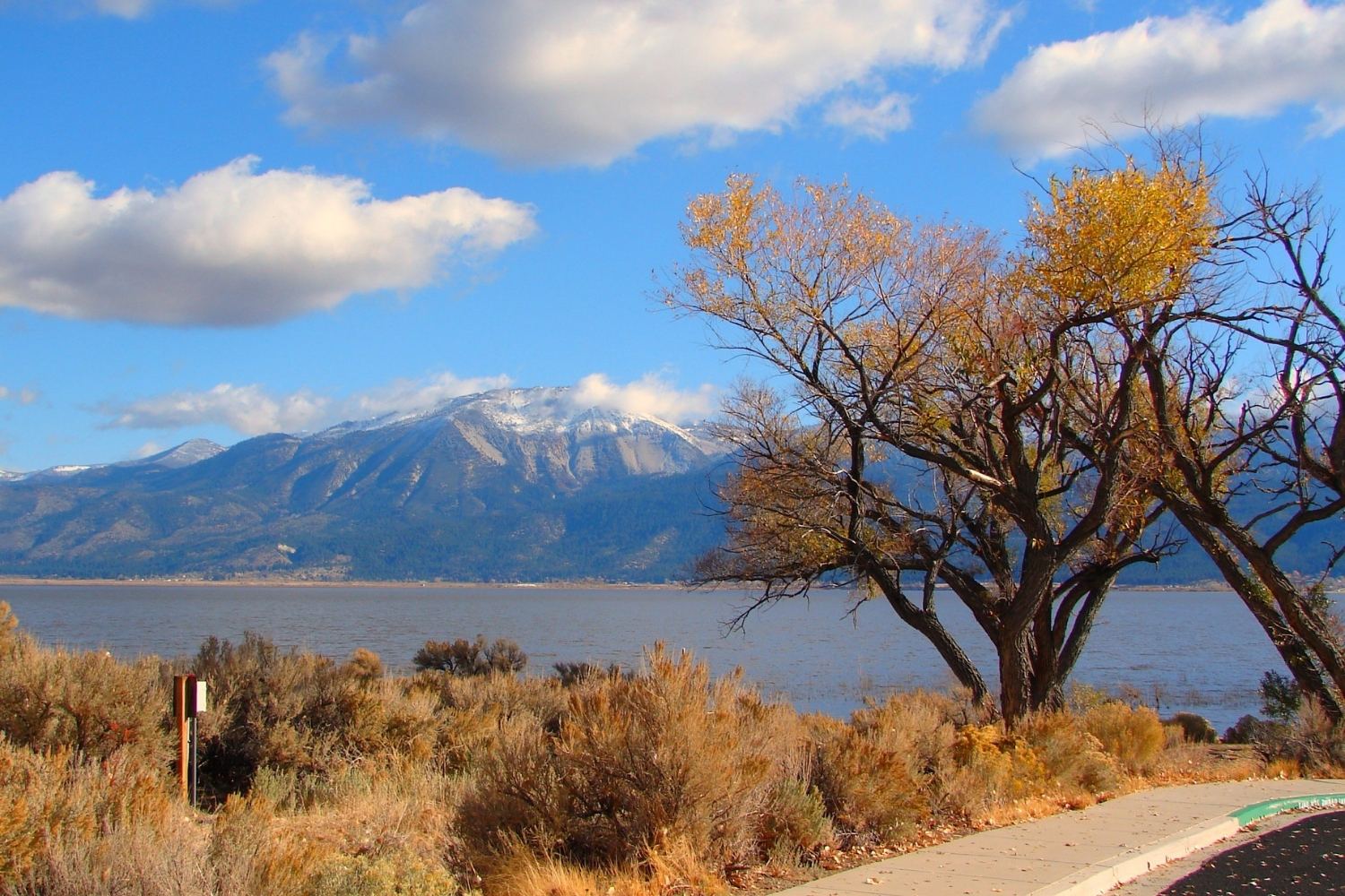 Wild Wonders Await At Washoe Lake State Park