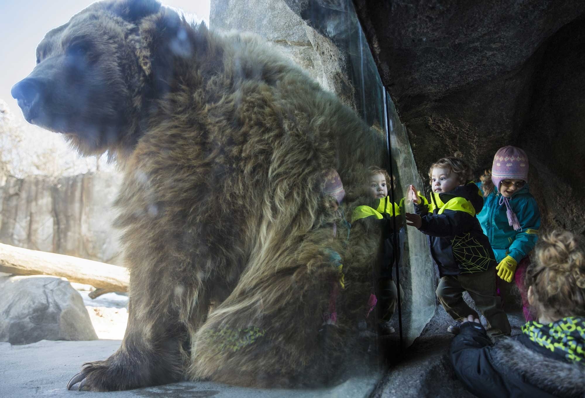 Wildlife-Wonders-Await-At-Minnesota-Zoo wildlife-wonders-await-at-minnesota-zoo