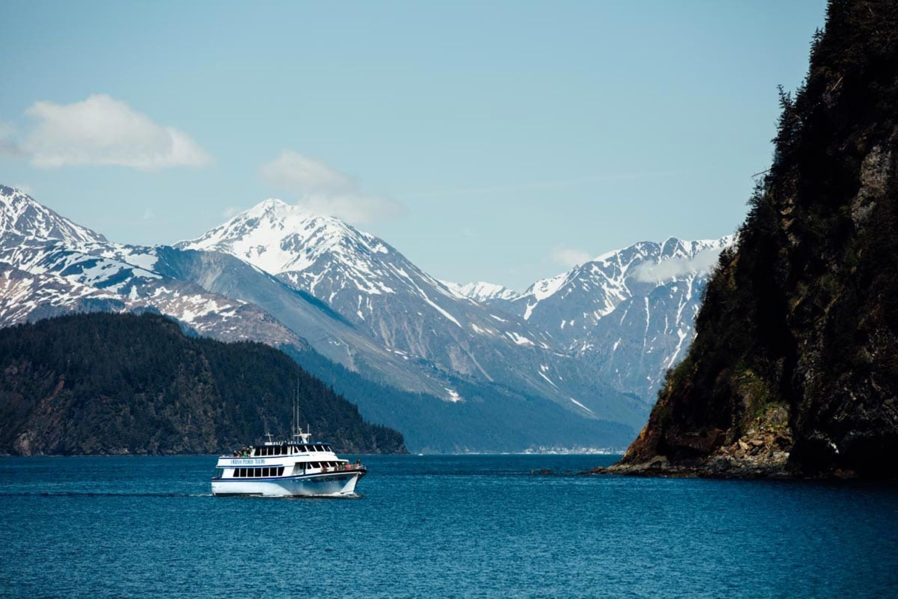 Wildlife-Wonders-On-Seward8217s-Resurrection-Bay-Cruise wildlife-wonders-on-sewards-resurrection-bay-cruise