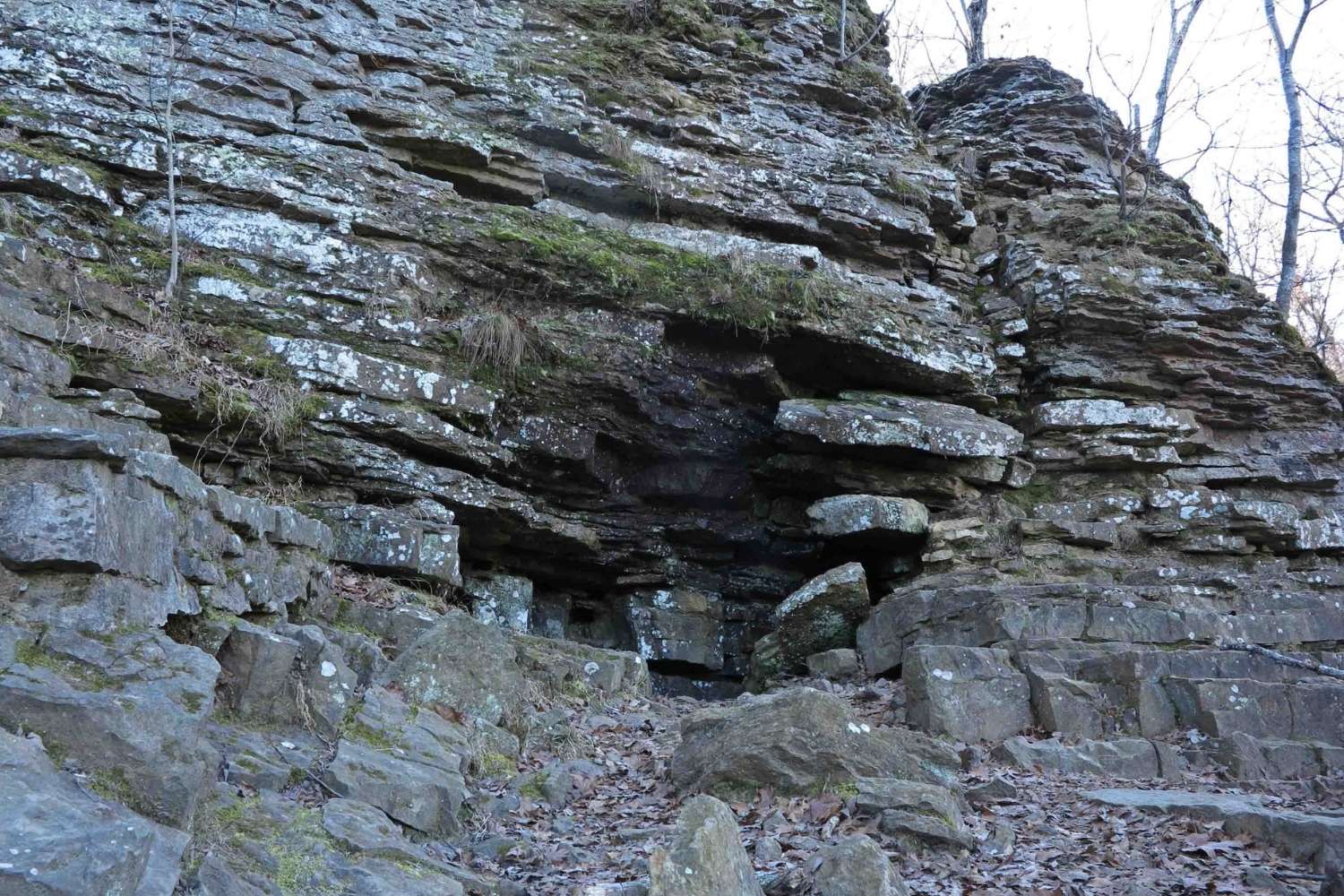 Ancient-Caves-Of-Arkansas8217-Devil8217s-Den ancient-caves-of-arkansas-devils-den