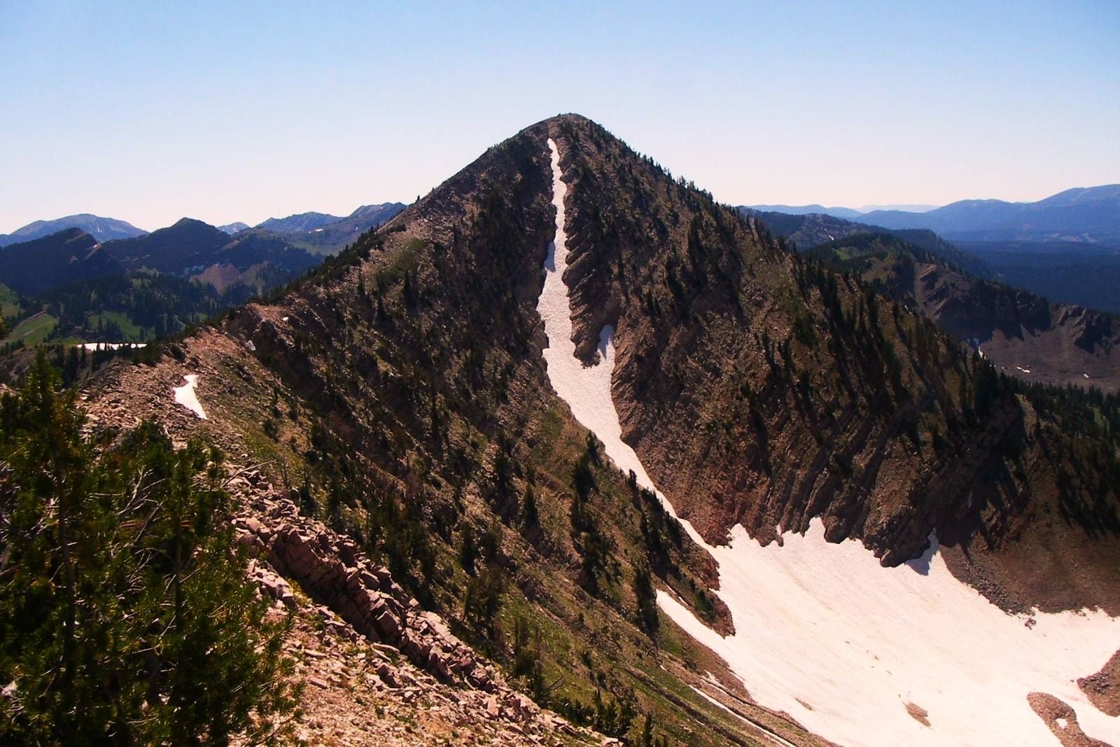 ancient-eagle-nests-of-wyomings-salt-river