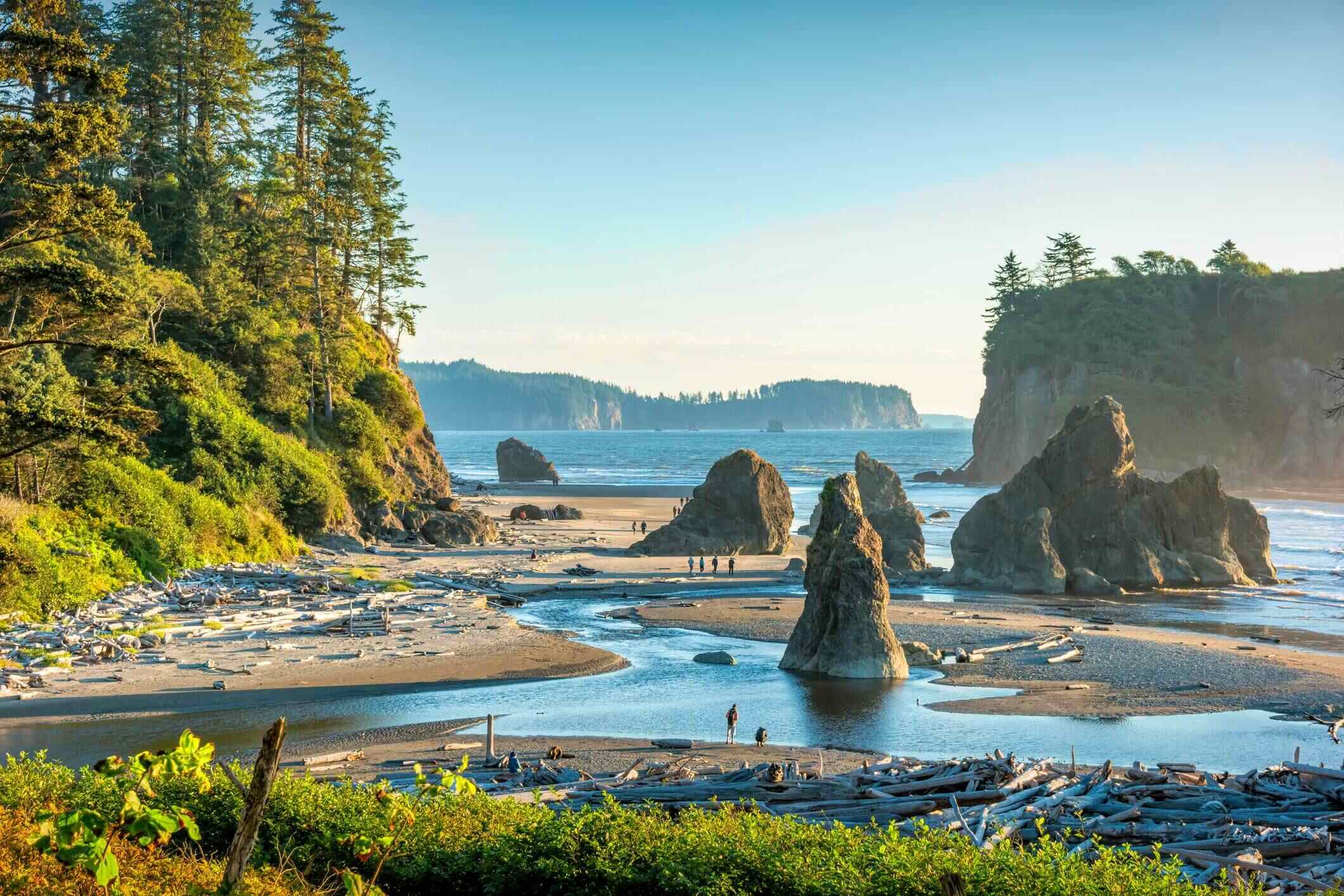 Ancient-Paths-Of-Washington8217s-Olympic-Coast ancient-paths-of-washingtons-olympic-coast