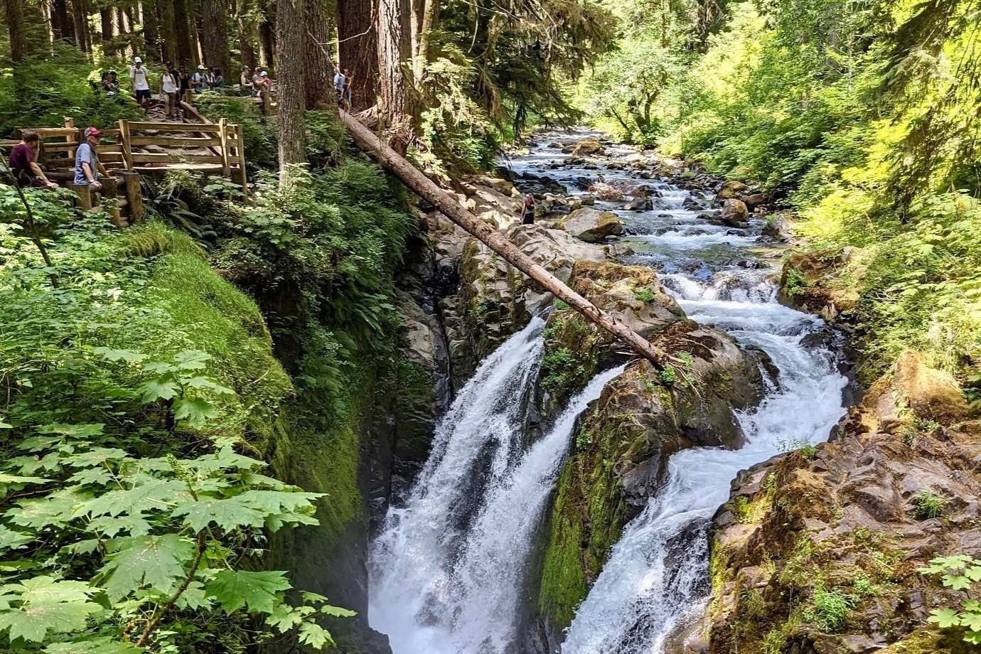 ancient-paths-of-washingtons-sol-duc