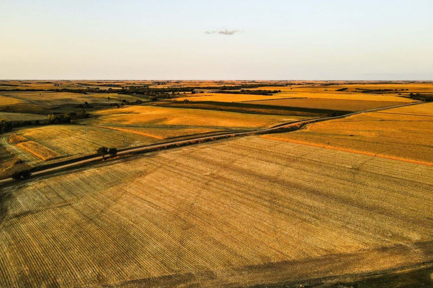 Ancient-Stone-Circles-Of-Nebraska8217s-Pine-Ridge ancient-stone-circles-of-nebraskas-pine-ridge