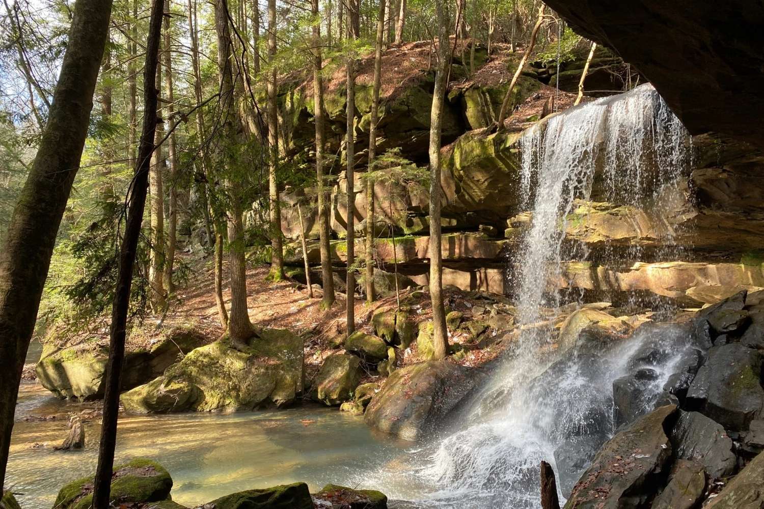 ancient-trails-of-alabamas-sipsey