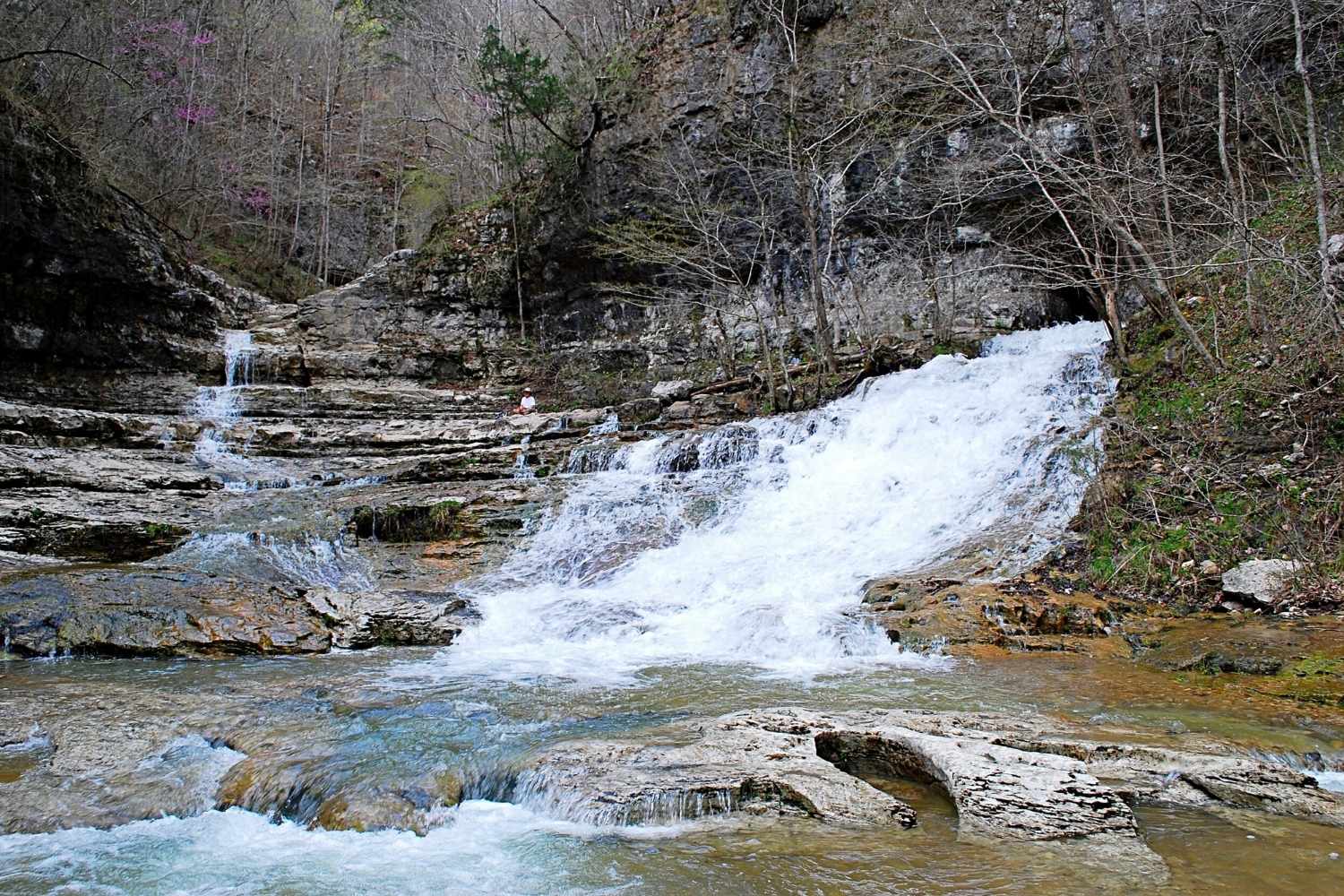 Ancient-Trails-Of-Alabama8217s-Walls-Of-Jericho ancient-trails-of-alabamas-walls-of-jericho