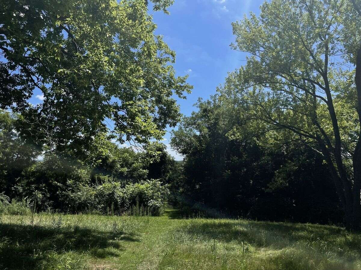 Ancient-Trails-Of-Illinois8217-Dixon-Mounds ancient-trails-of-illinois-dixon-mounds