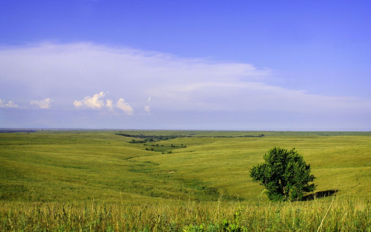 Ancient-Trails-Of-Kansas8217-Tallgrass-Prairie ancient-trails-of-kansas-tallgrass-prairie