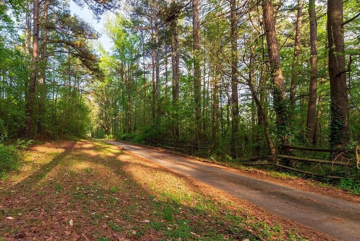 ancient-trails-of-south-carolinas-kings-mountain