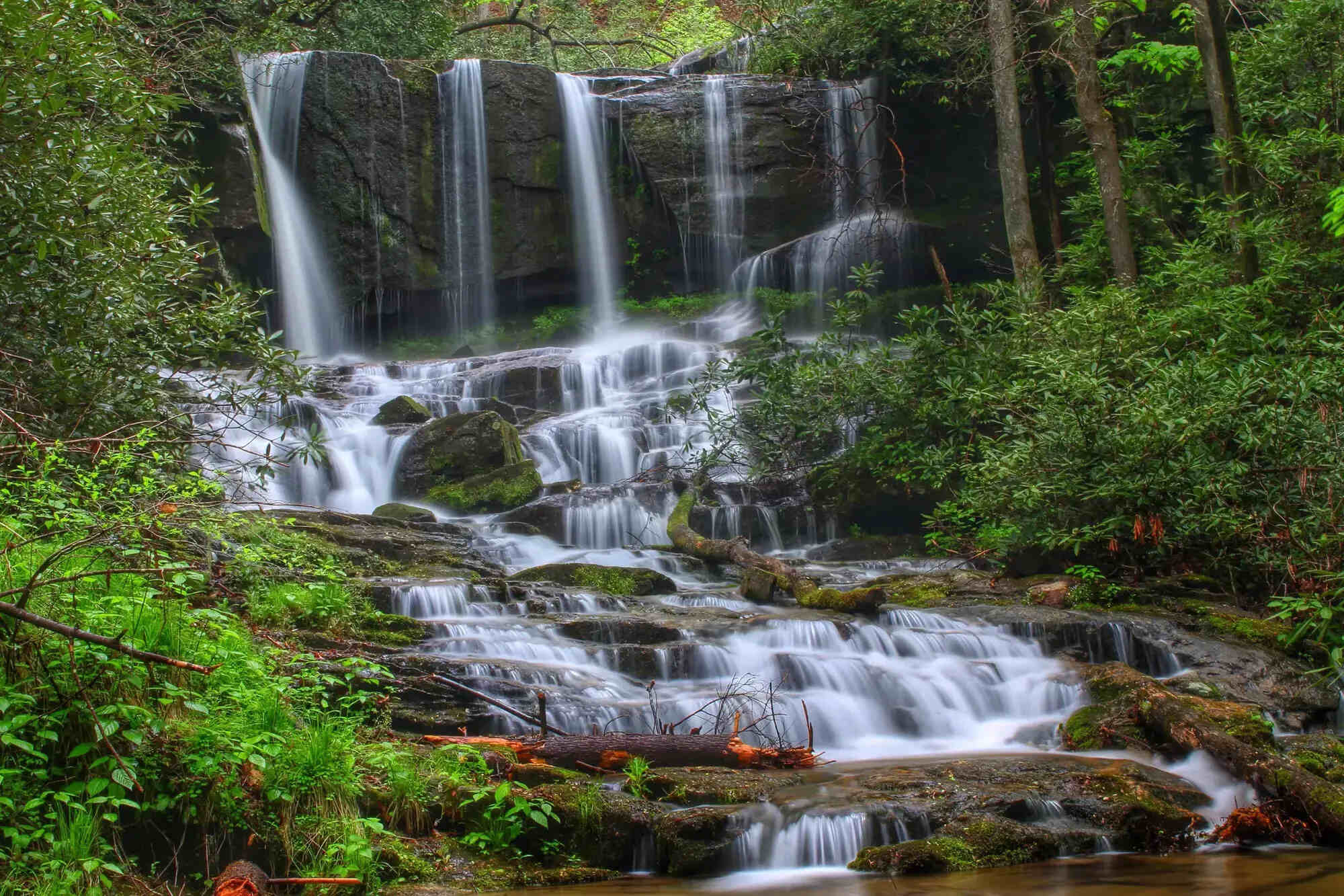 Ancient-Trails-Of-South-Carolina8217s-Laurel-Fork ancient-trails-of-south-carolinas-laurel-fork