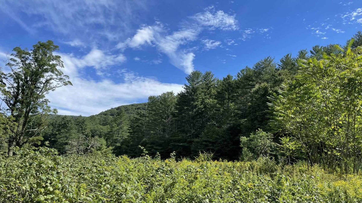 ancient-trails-of-the-mohican-valley