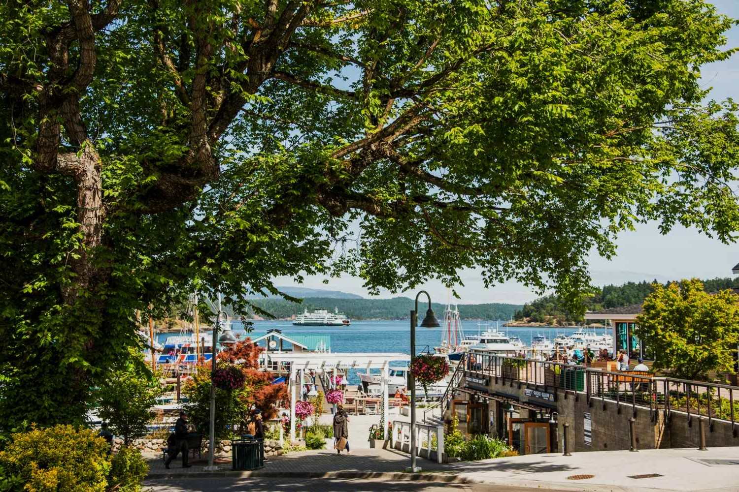 ancient-villages-of-washingtons-san-juan-islands