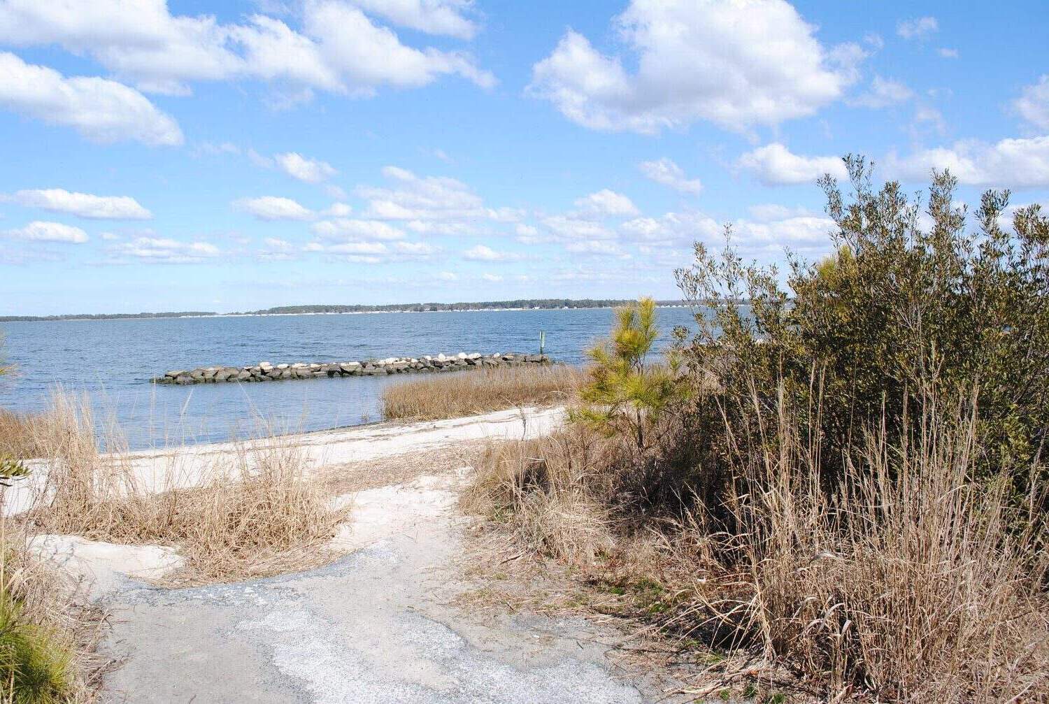 delawares-secret-crabbing-spot-at-holts-landing