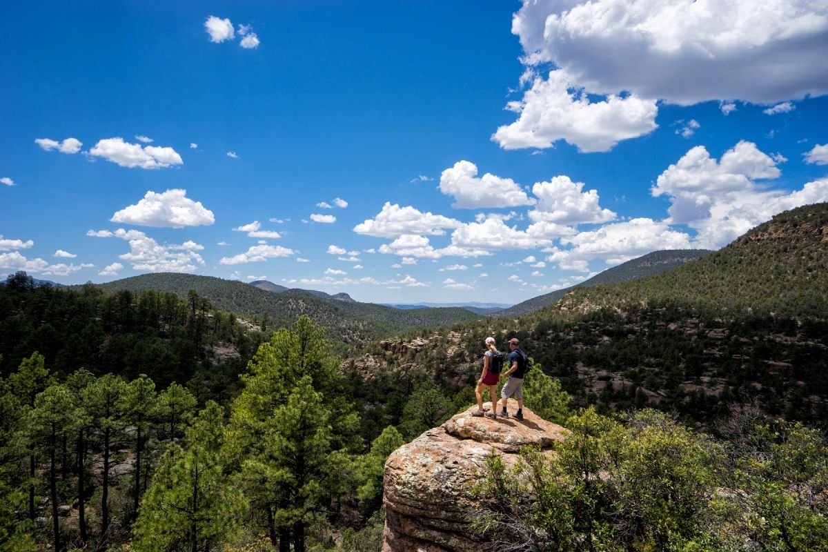 Eagle-Spirit-Woods-Hidden-In-New-Mexico eagle-spirit-woods-hidden-in-new-mexico