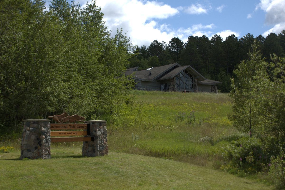 Ely8217s-Secret-Wolf-Center-Adventure-With-Live-Wolves elys-secret-wolf-center-adventure-with-live-wolves