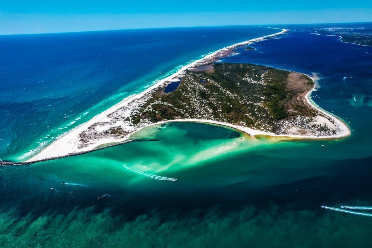 Florida8217s-Secret-Shell-Islands-And-Pristine-Beaches-For-Shelling-Adventure floridas-secret-shell-islands-and-pristine-beaches-for-shelling-adventure